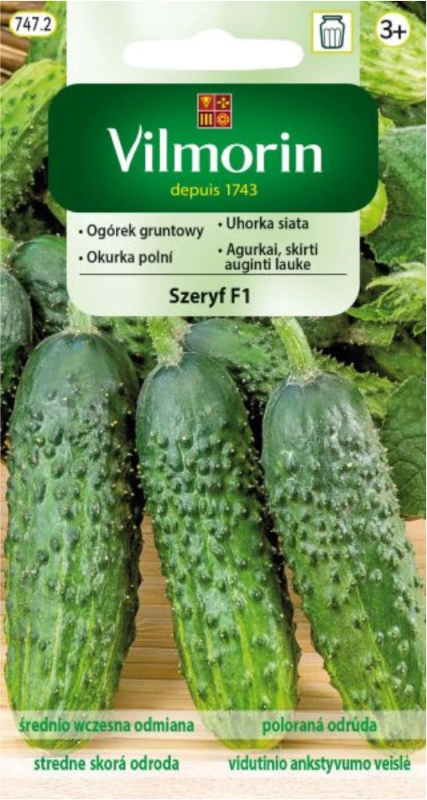 Vilmorin Ogórek gruntowy Szeryf F1 nasiona 2 sklep rajogrodnika